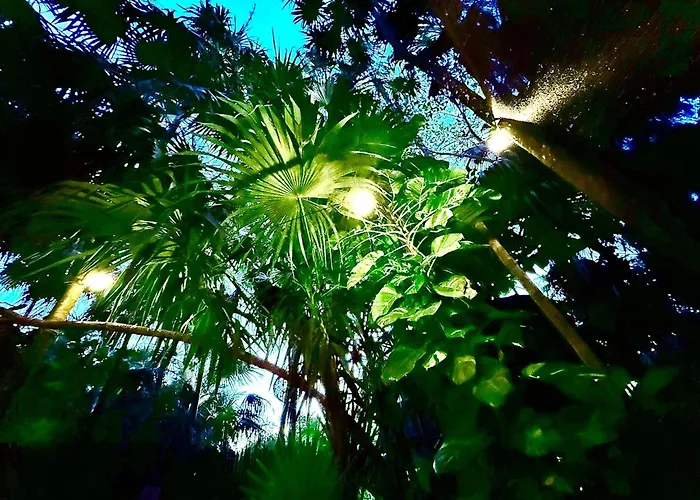 Acomodação com café da manhã  Kck Tulum